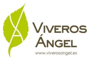 Viveros Angel Bionic Partner